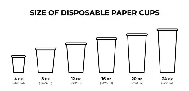 cup sizes.webp