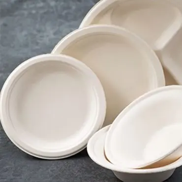 [PPL] Assiettes en papier et en pulpe