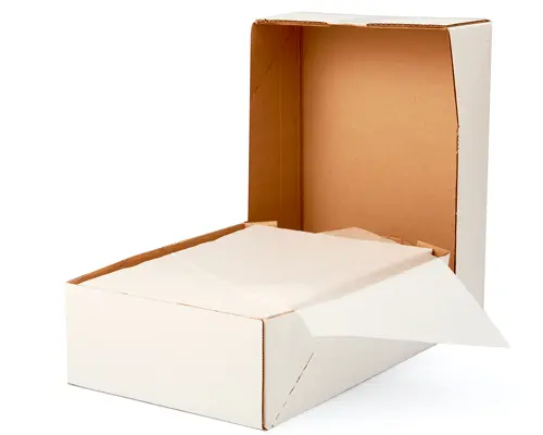 [PB] Scale Paper